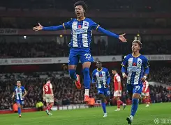 布莱顿对热刺比分预测